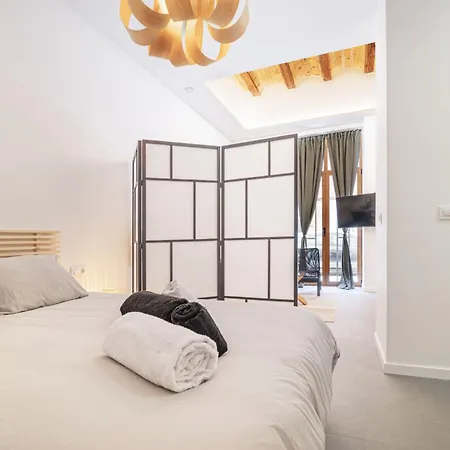 Esc - Loft Comodos Y Espaciosos Estudios Cercanos A Estacion Joaquin Sorolla Apartament Walencja
